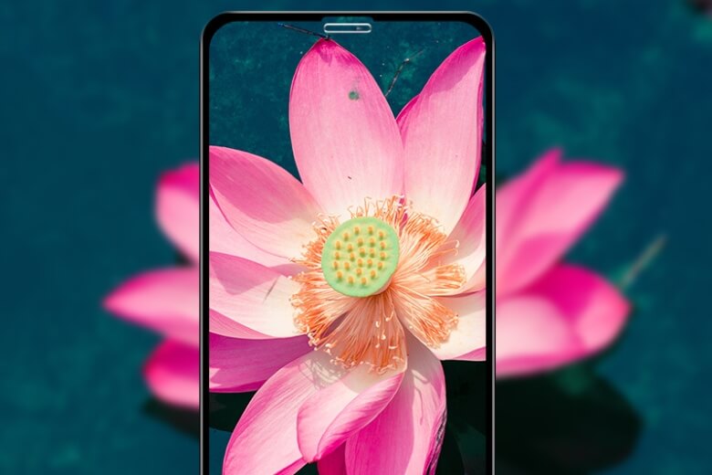 Kích thước siêu mỏng, trong suốt