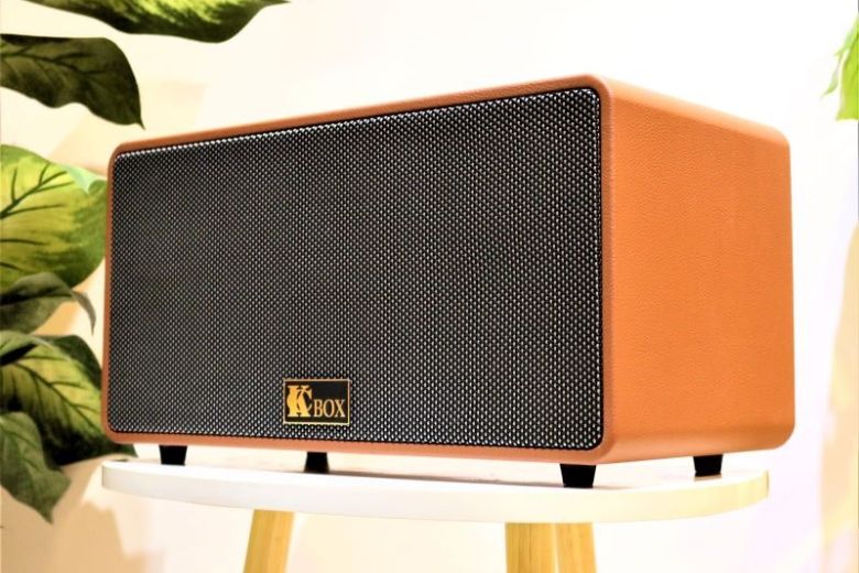 Loa Karaoke mini gia đình