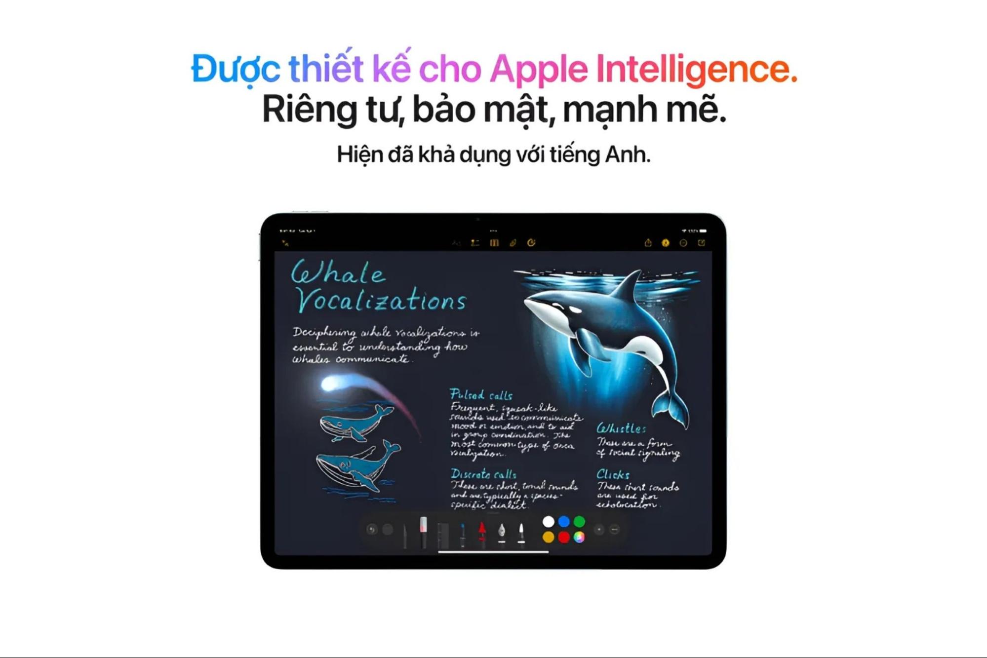 Bộ nhớ 512GB mang lại không gian lưu trữ rộng lớn cho nhiều tác vụ và ứng dụng
