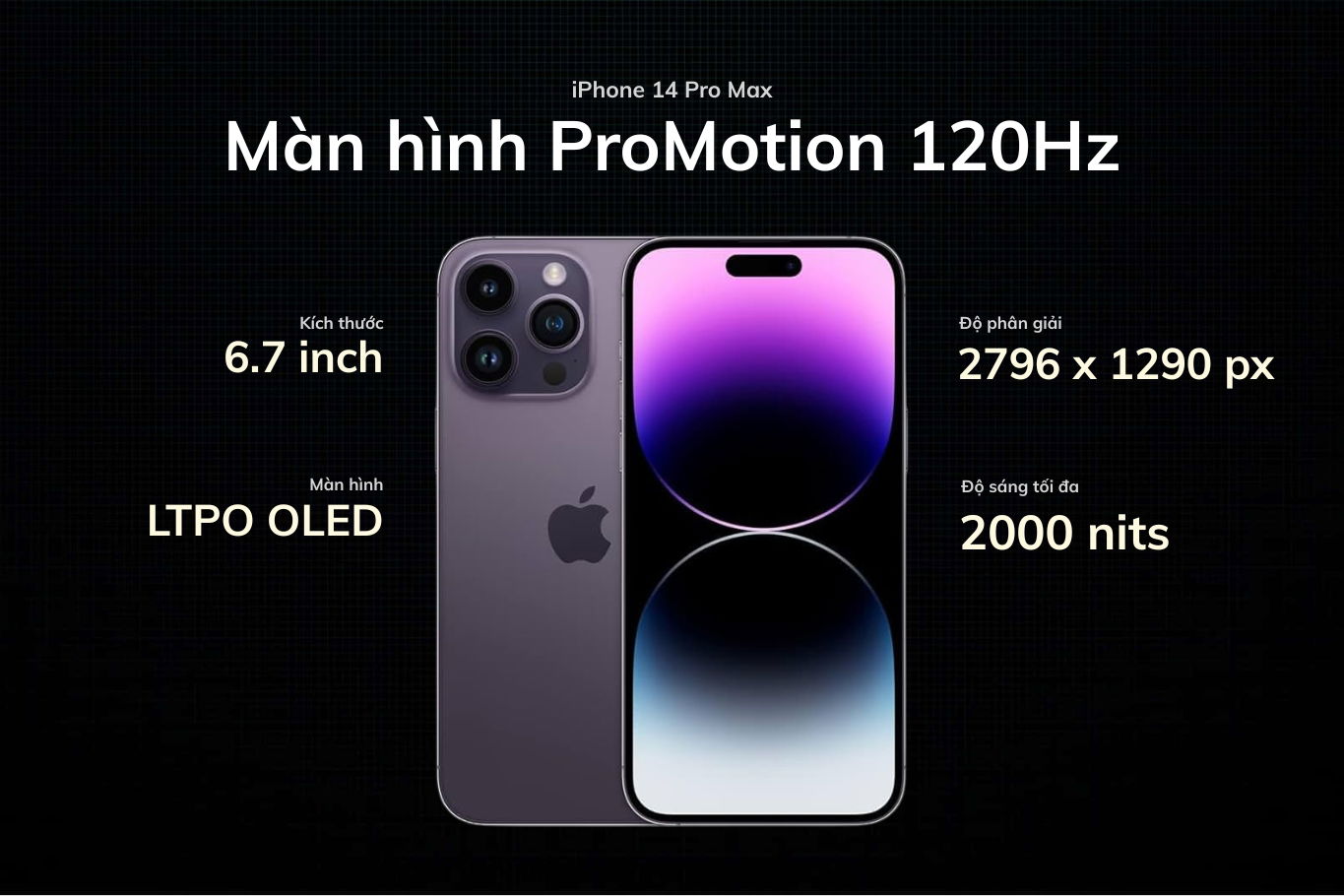 Màn hình ProMotion 120Hz sắc nét, mượt mà