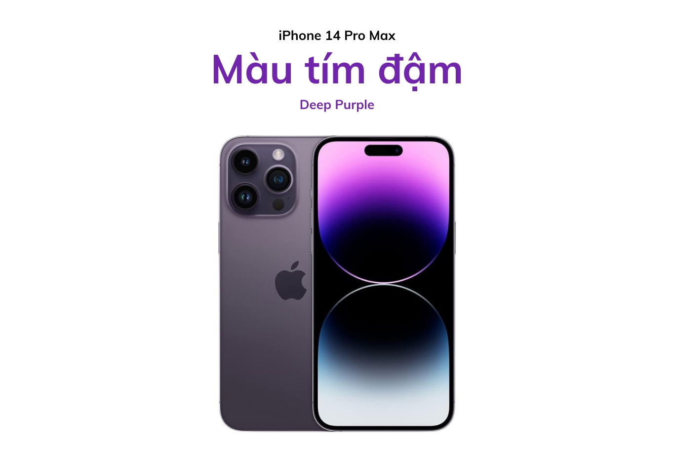 Màu tím đậm trên iPhone 14 Pro Max