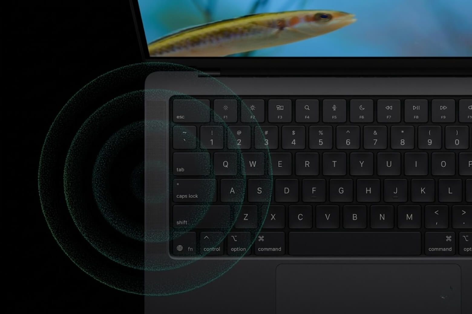 MacBook Pro 16 inch M5 Pro 24GB/1TB âm thanh chuyên nghiệp 