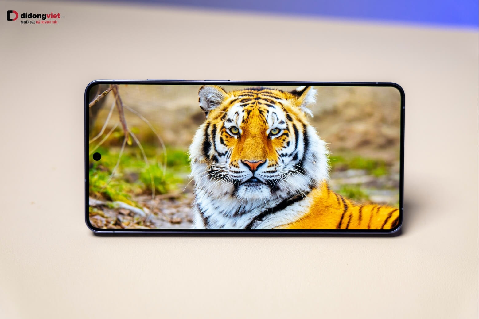 màn hình Samsung Galaxy S26 Ultra 1TB màn hình Samsung Galaxy S26 Ultra 1TB