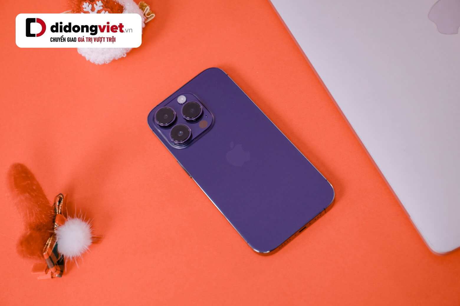 iPhone 14 series phiên bản Pro và phiên bản Pro Max