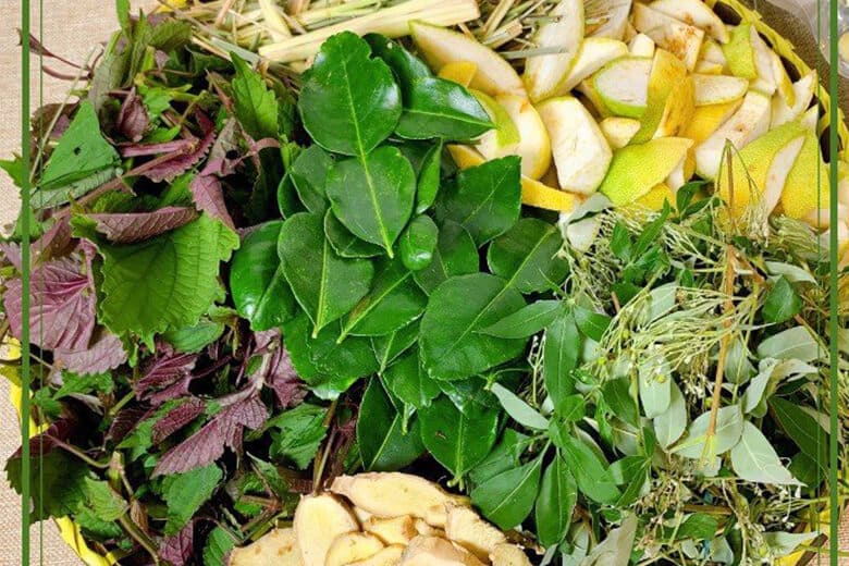 Hướng dẫn sử dụng:
