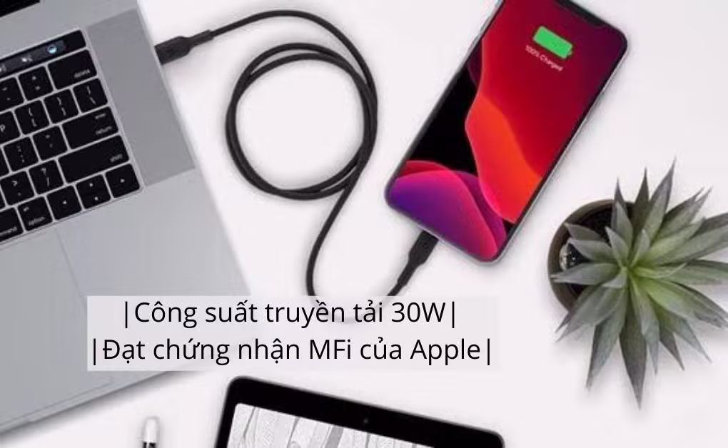Cáp sạc C - Lightning 1m vỏ nhựa 30W Belkin - ảnh 4