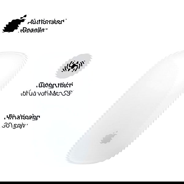Chuột không dây Apple Magic Mouse 2 2020 Chính Hãn