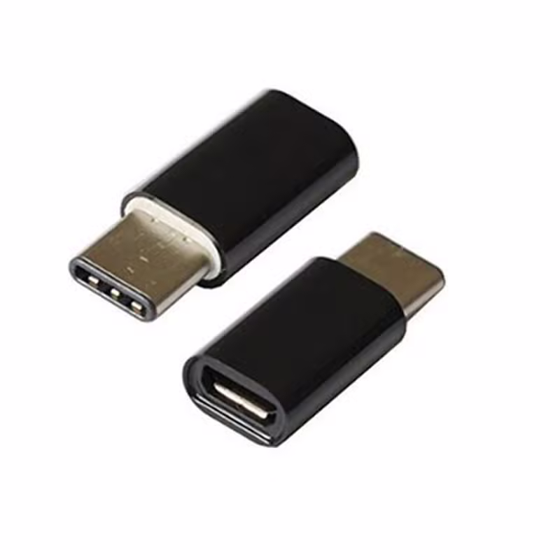 Đầu chuyển sạc Micro sang Type-C - ảnh 1