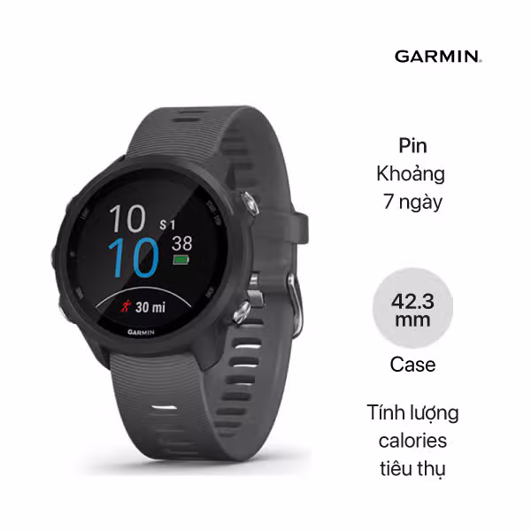 Đồng hồ thông minh Garmin Forerunner 245 Music - ảnh 2