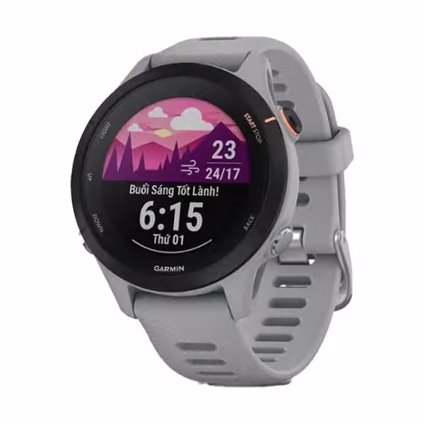 Đồng hồ thông minh Garmin Forerunner 255S Music - ảnh 1