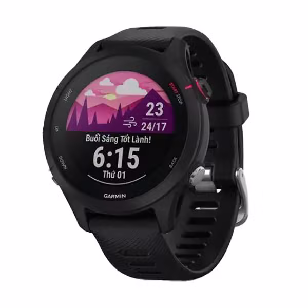 Đồng hồ thông minh Garmin Forerunner 255S Music - ảnh 2