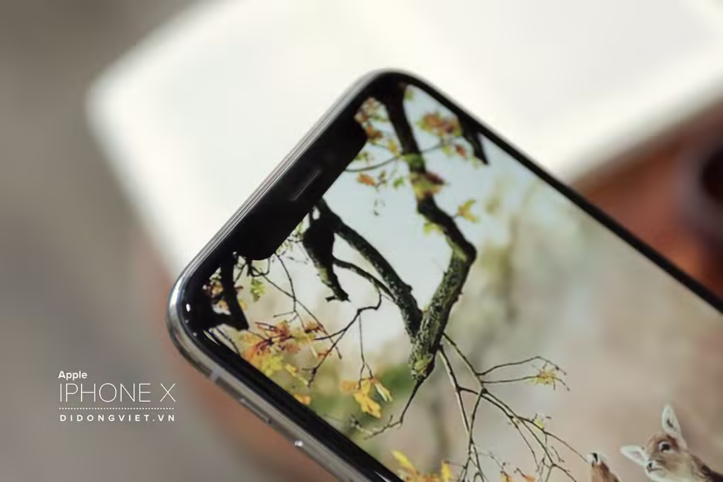 iPhone X 256GB Cũ - ảnh 2