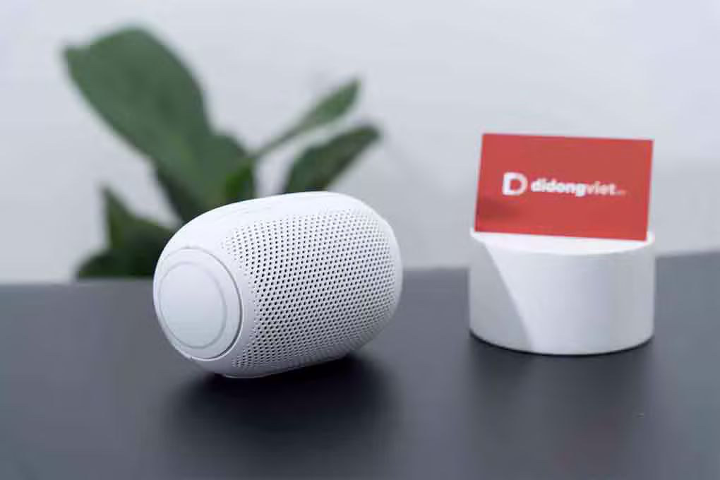 Loa Bluetooth LG XBOOM GO PL2 - ảnh 5