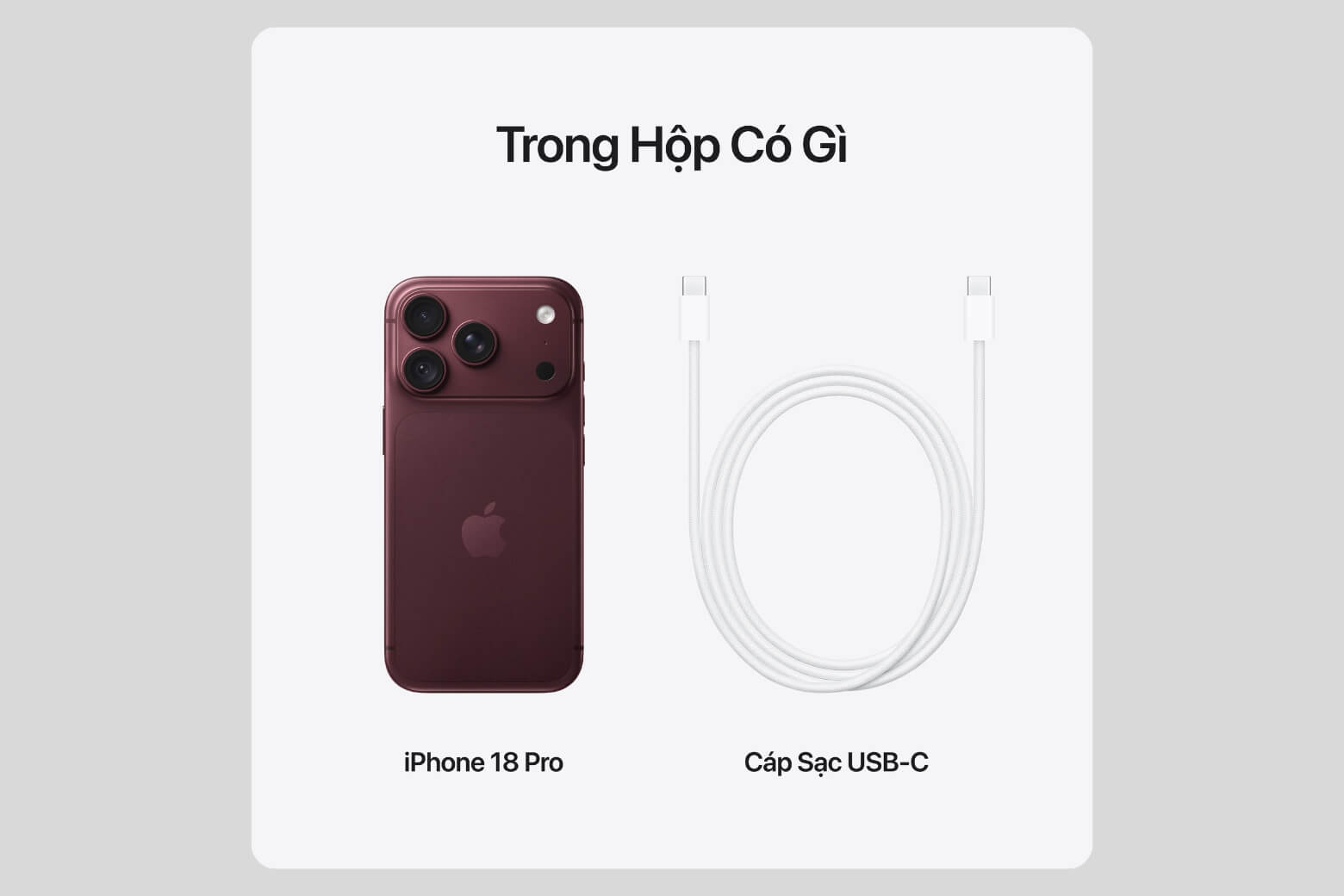 Lên đời iPhone 18 Pro tại Di Động Việt