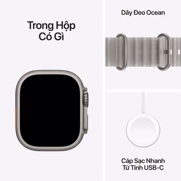 Apple Watch Ultra 4 (2026) 49mm (5G) Viền titan - Dây ocean - ảnh 8