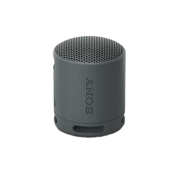 Loa Bluetooth Sony XB100