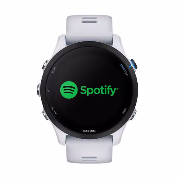 Đồng hồ thông minh Garmin Forerunner 255 Music - ảnh 2