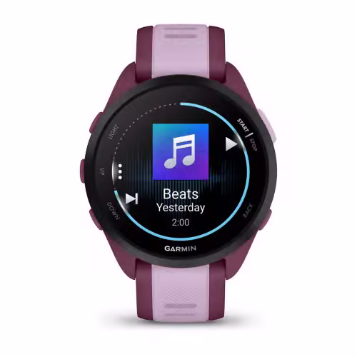 Đồng hồ thông minh Garmin Forerunner 165 Music - ảnh 2
