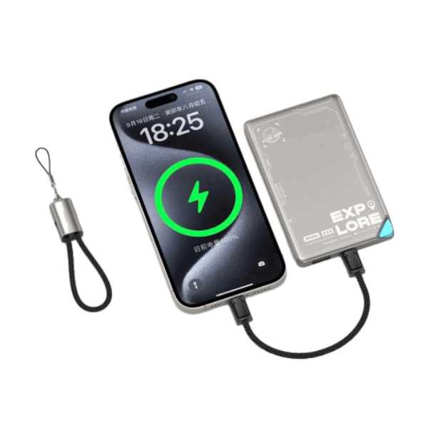 Cáp sạc Wiwu USB-C to USB-C 60W 15cm Wi-C040
