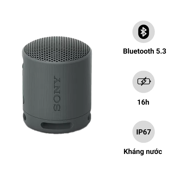 Loa Bluetooth Sony XB100