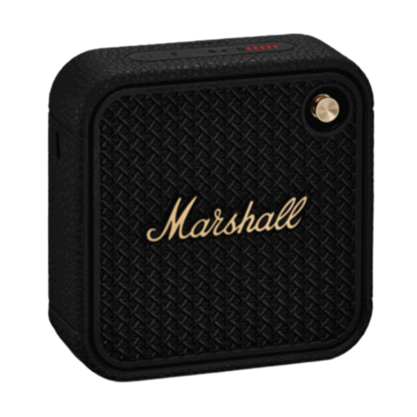 Loa Bluetooth Marshall Willen II
