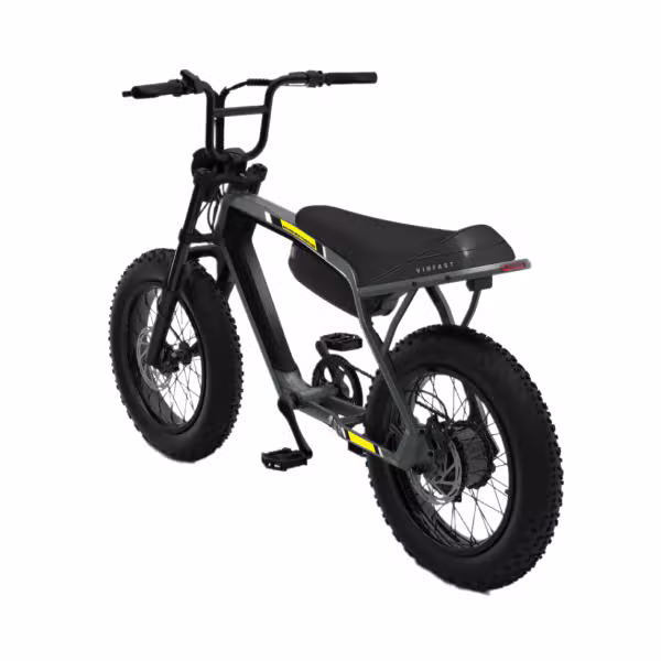 Xe đạp điện VF DrgnFly - ảnh 3