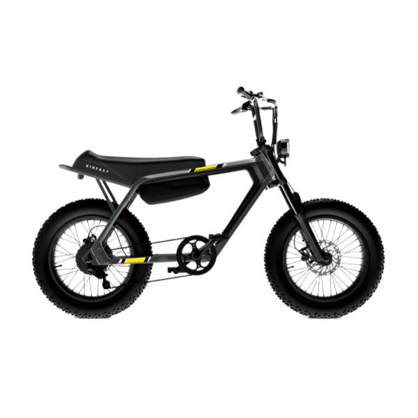 Xe đạp điện VF DrgnFly
