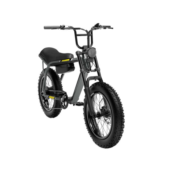 Xe đạp điện VF DrgnFly