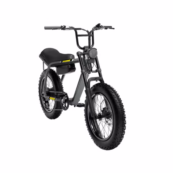 Xe đạp điện VF DrgnFly - ảnh 4