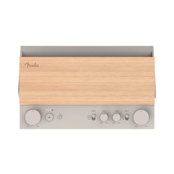 Loa Bluetooth Fender E12