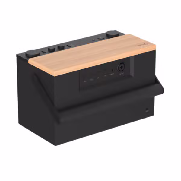 Loa Bluetooth Fender E12 - ảnh 2