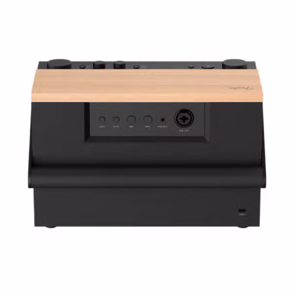 Loa Bluetooth Fender E12 - ảnh 4