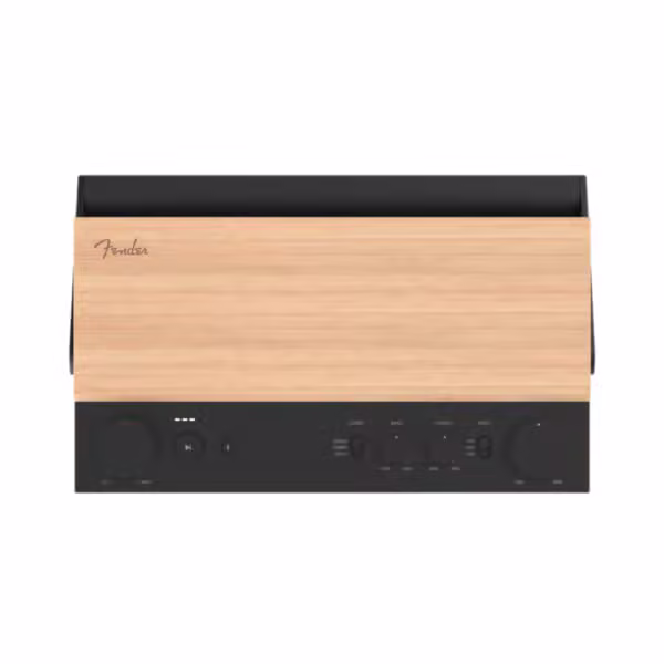 Loa Bluetooth Fender E12 - ảnh 5